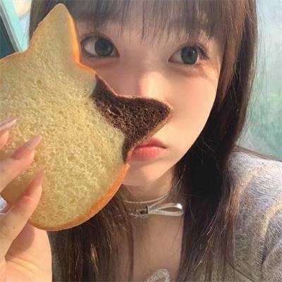 书记日记