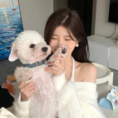 我的宠物是大象